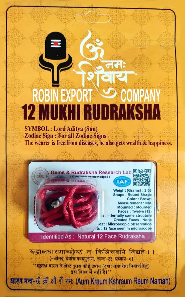 Rudraksha_Bead_With_Certificate