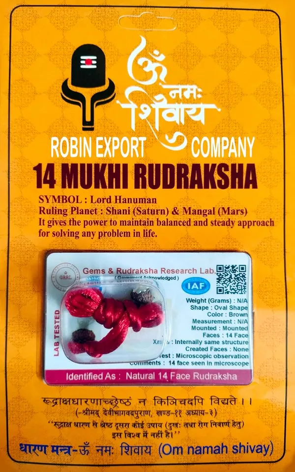 Rudraksha_Pendant
