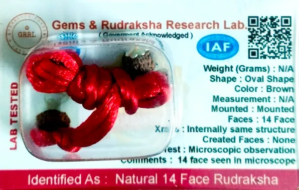 Rudraksha_Pendant