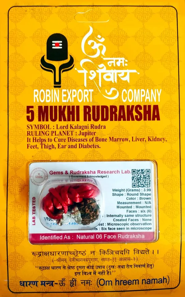 Rudraksha_Bead_With_Certificate