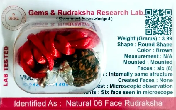 Rudraksha_Bead_With_Certificate