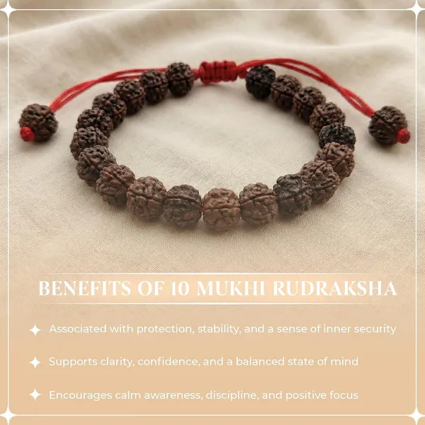 10_Mukhi_Rudraksha_Bracelet