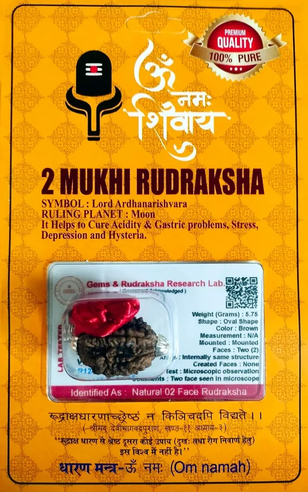 Two_Mukhi_Rudraksha_Bead