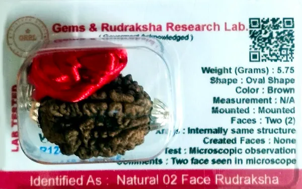 Rudraksha_Bead_With_Certificate