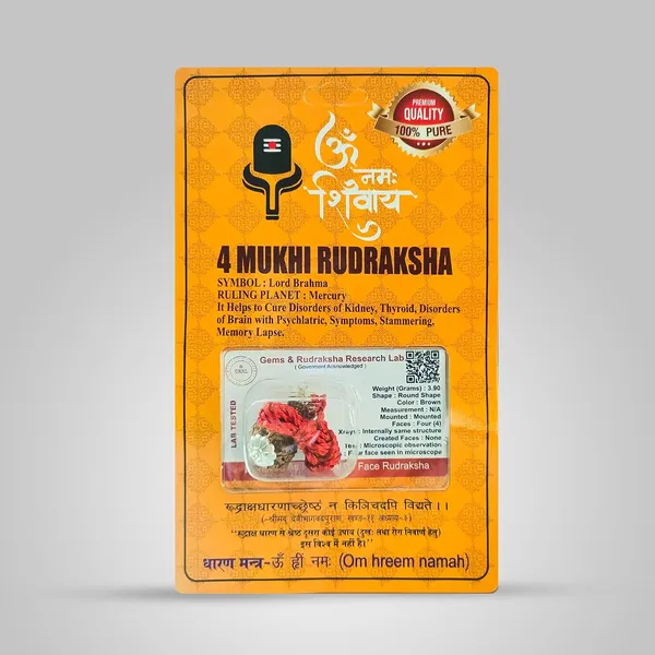 4_Mukhi_Rudraksha_Bead