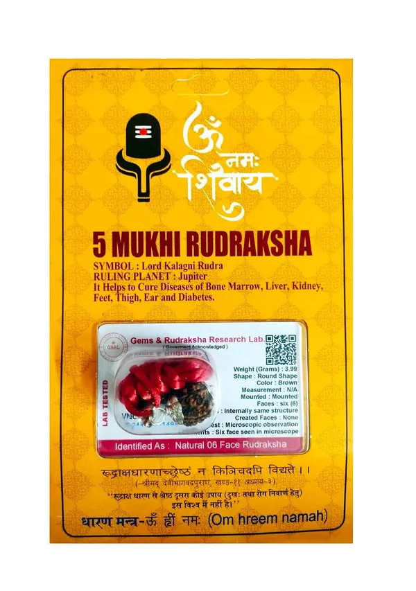 Rudraksha_Bead_With_Certificate