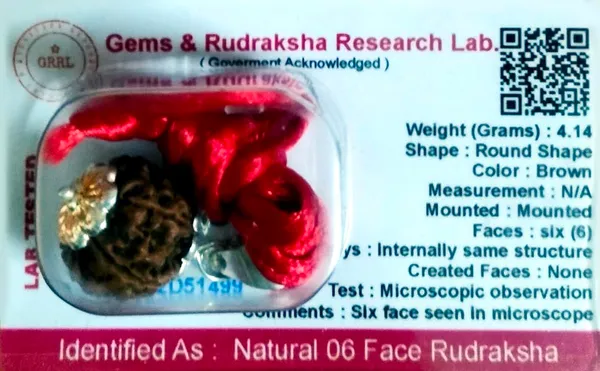 Six_Mukhi_Rudraksha_Bead