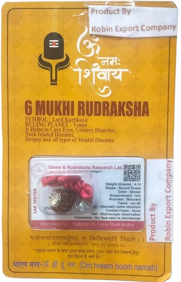 Six_Mukhi_Rudraksha_Bead