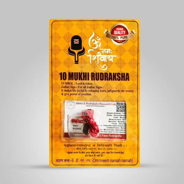 10_Mukhi_Rudraksha_Bead
