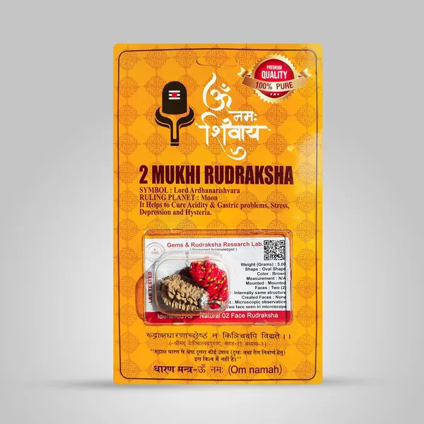 Two_Mukhi_Rudraksha_Bead