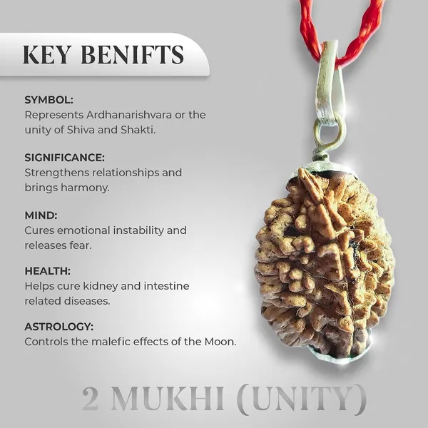 Two_Mukhi_Rudraksha_Bead