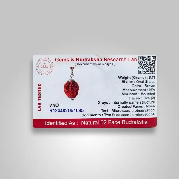 Two_Mukhi_Rudraksha_Bead