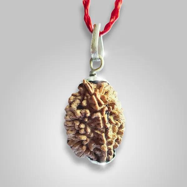 Two_Mukhi_Rudraksha_Bead