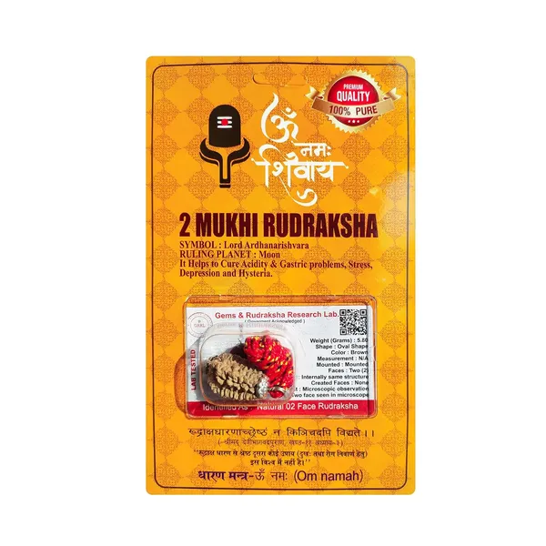 Two_Mukhi_Rudraksha_Bead