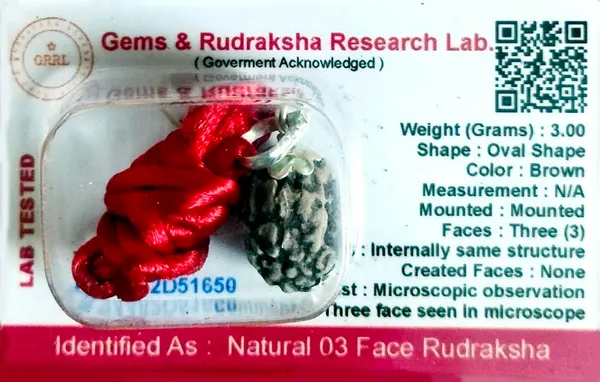 Rudraksha_Bead