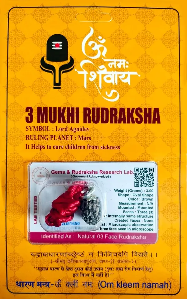Rudraksha_Bead
