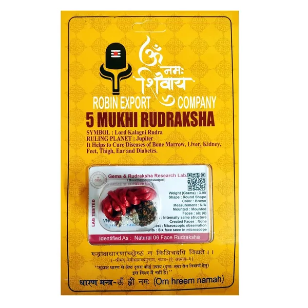 Rudraksha_Bead_With_Certificate