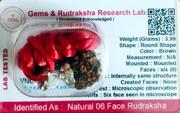 Rudraksha_Bead_With_Certificate