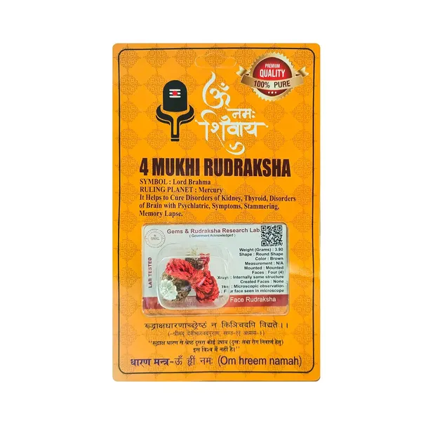 Four_Mukhi_Rudraksha_Bead