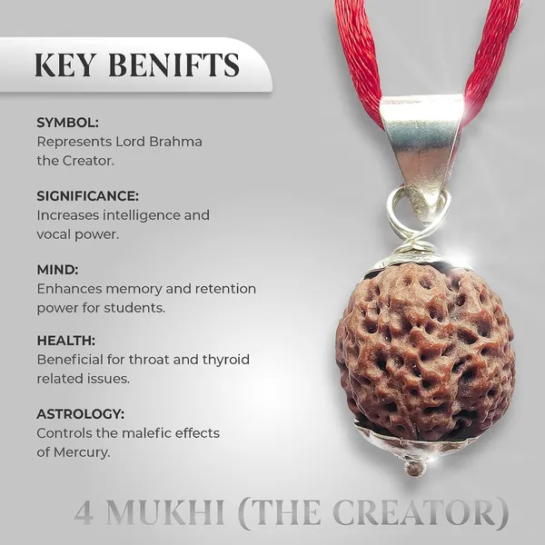 Four_Mukhi_Rudraksha_Bead