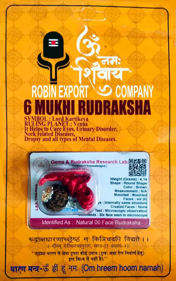 Rudraksha_Bead_With_Certificate