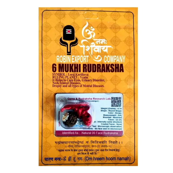 Rudraksha_Bead_With_Certificate