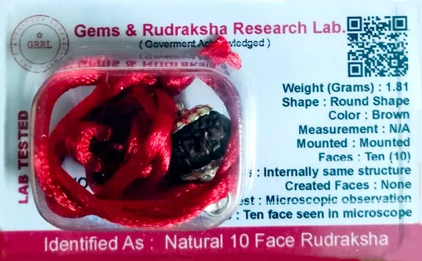 10_Mukhi_Rudraksha_Bead