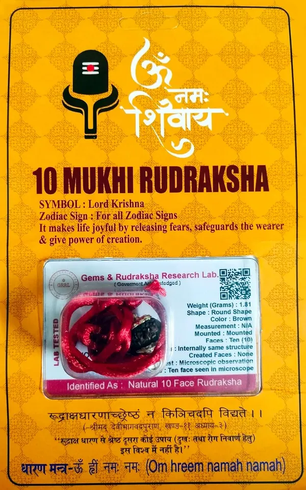 10_Mukhi_Rudraksha_Bead