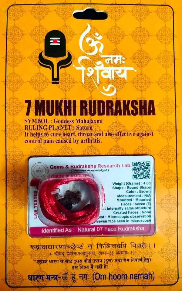 Rudraksha_Bead