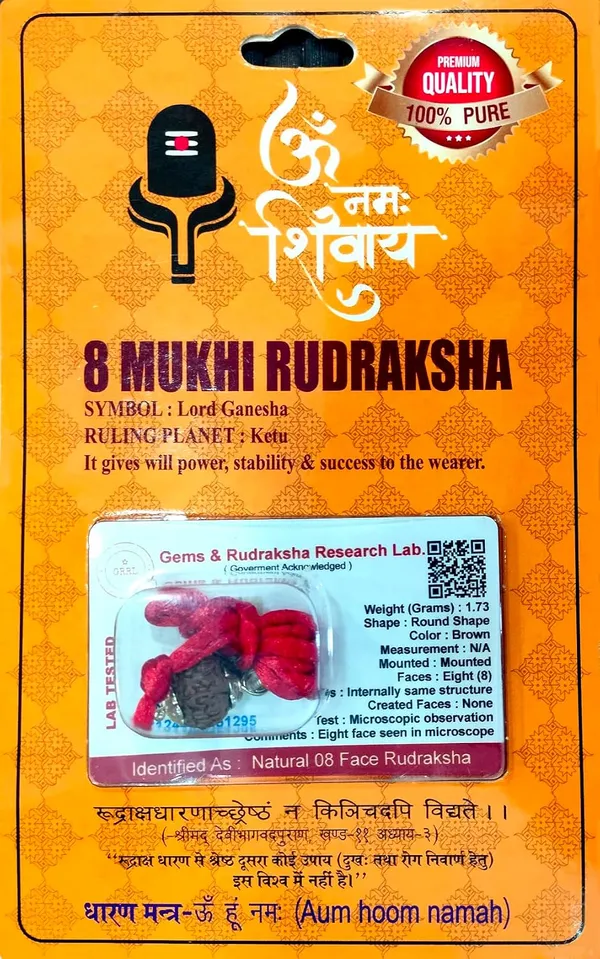 8_Mukhi_Rudraksha_Bead