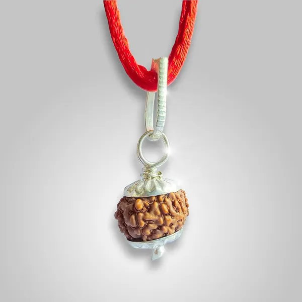 Nine_Mukhi_Rudraksha_Bead