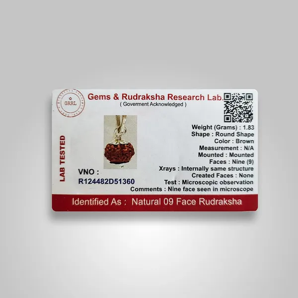 Nine_Mukhi_Rudraksha_Bead