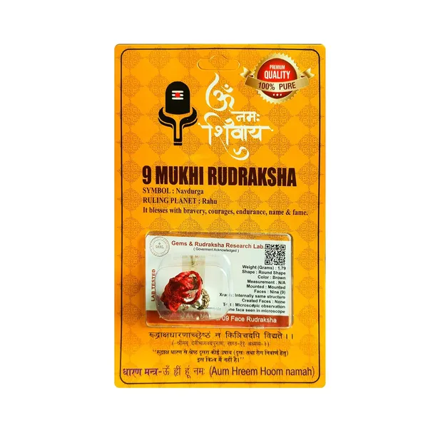 Nine_Mukhi_Rudraksha_Bead