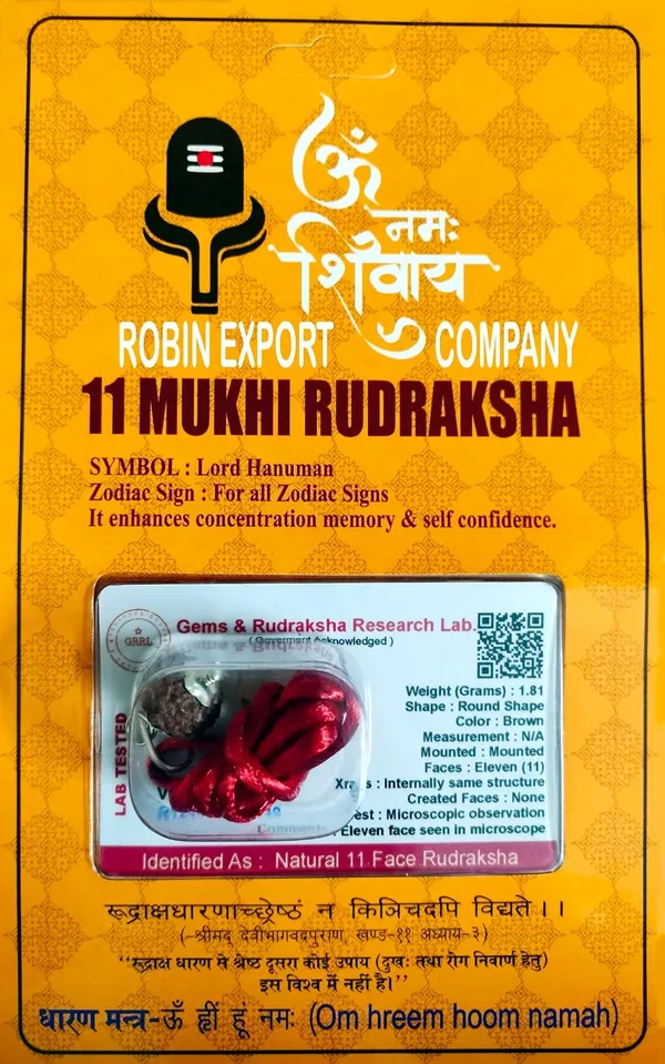 11_Mukhi_Rudraksha_Bead