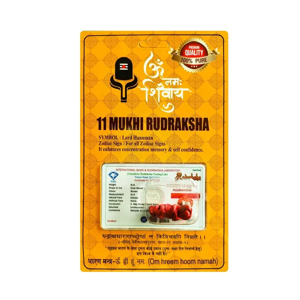 Rudraksha_Bead