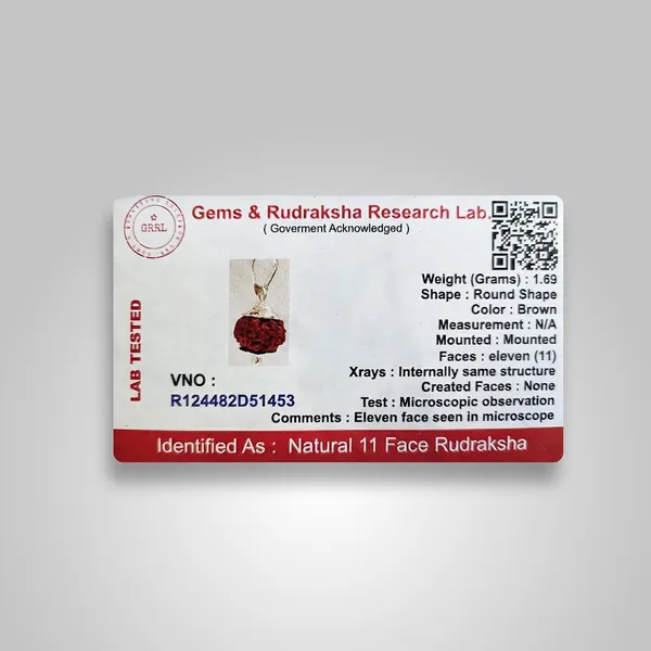 Rudraksha_Bead