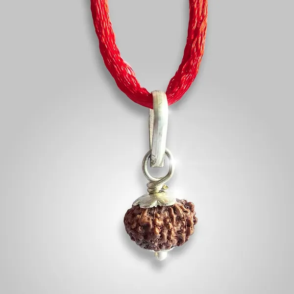 Rudraksha_Bead