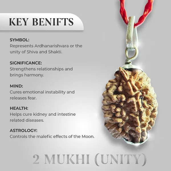Rudraksha_Bead_With_Certificate