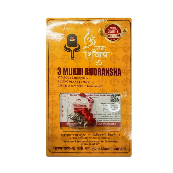 3_Mukhi_Rudraksha_Bead
