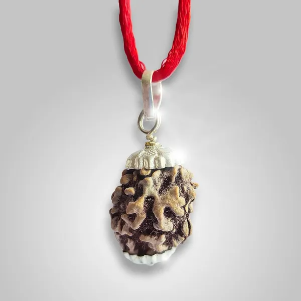 3_Mukhi_Rudraksha_Bead