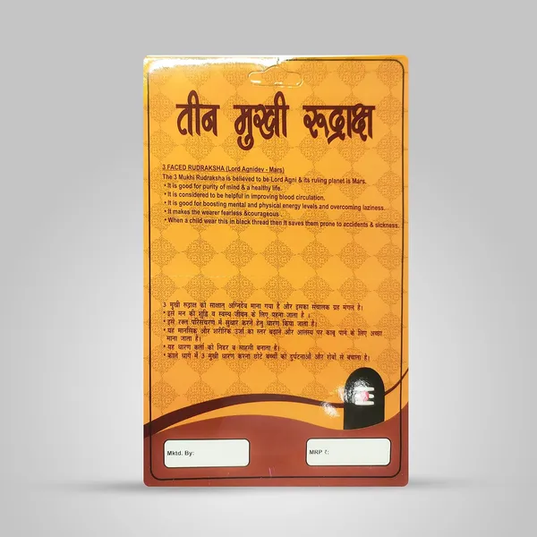 3_Mukhi_Rudraksha_Bead