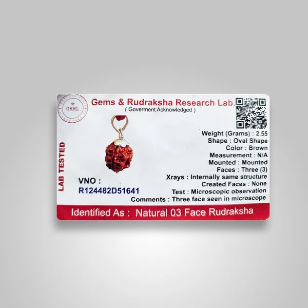 3_Mukhi_Rudraksha_Bead