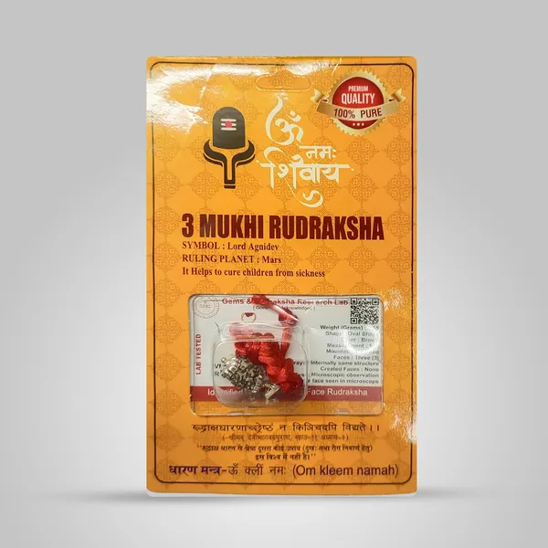 3_Mukhi_Rudraksha_Bead