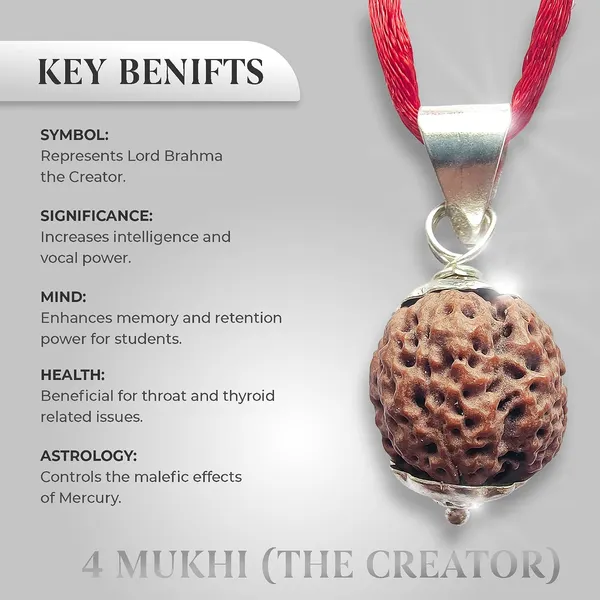 Four_Mukhi_Rudraksha_Bead