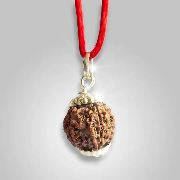 Rudraksha_Bead_With_Certificate