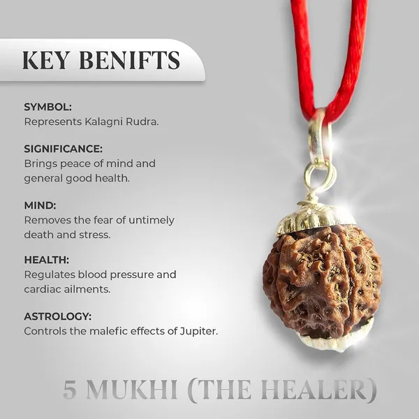 Rudraksha_Bead_With_Certificate
