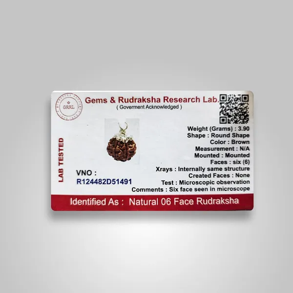 Six_Mukhi_Rudraksha_Bead