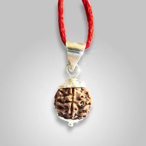 Six_Mukhi_Rudraksha_Bead