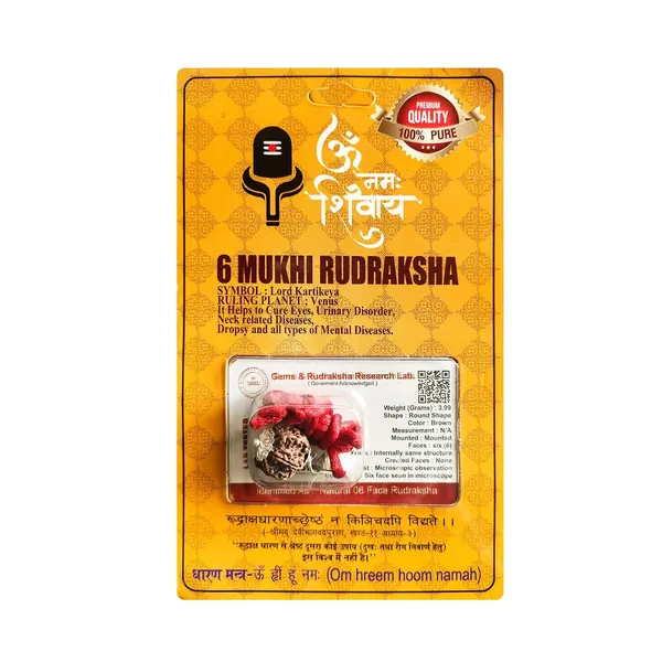 Six_Mukhi_Rudraksha_Bead