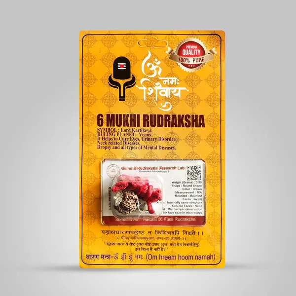 Six_Mukhi_Rudraksha_Bead